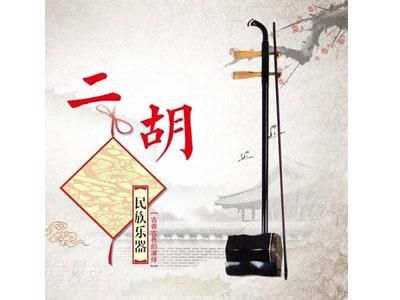 招聘阜阳二胡家教老师