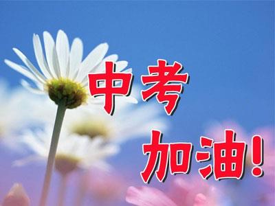 阜阳九年级辅导老师哪里找？